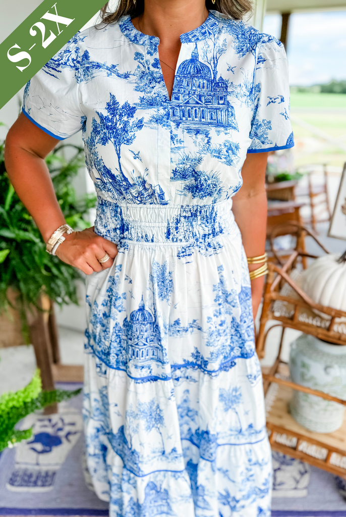 Amira - Toile Print Dress