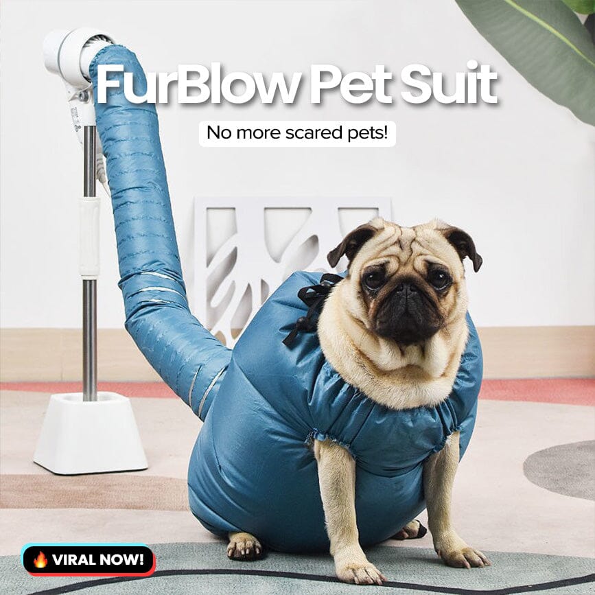 FurBlow Pet Suit Marcira