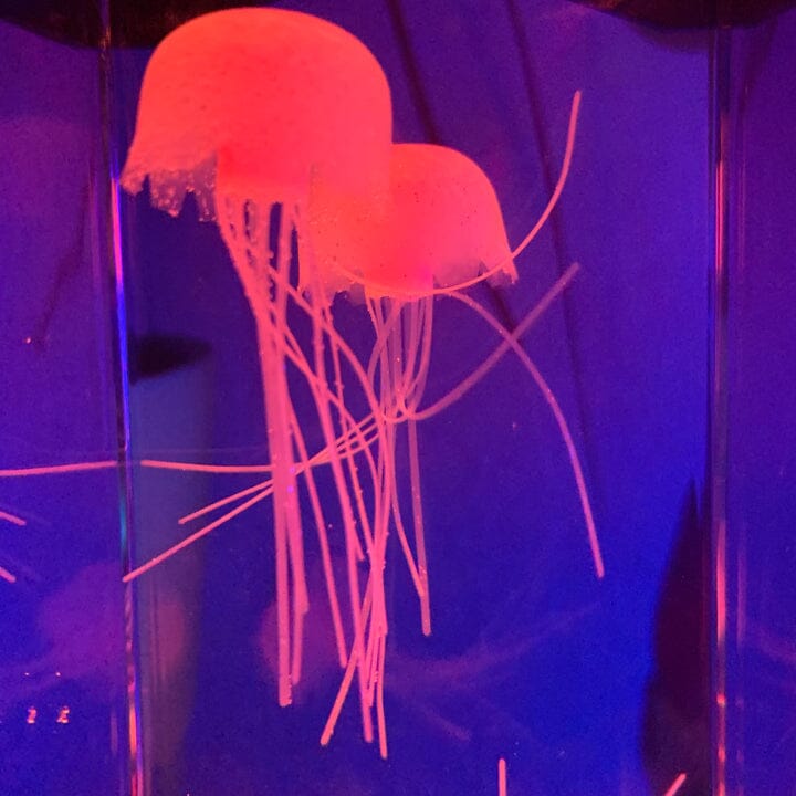 JellyFish Aqua Lamp Marcira