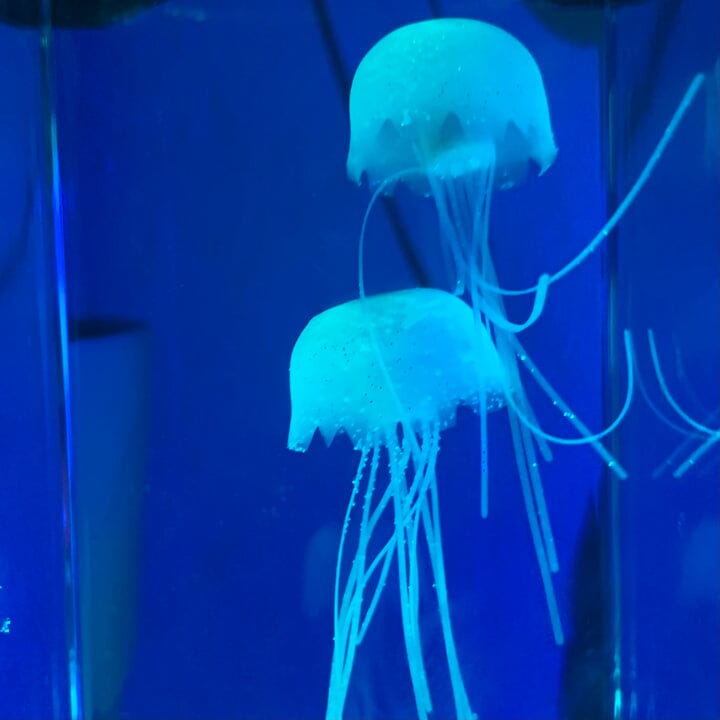JellyFish Aqua Lamp Marcira