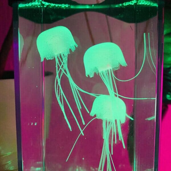 JellyFish Aqua Lamp Marcira