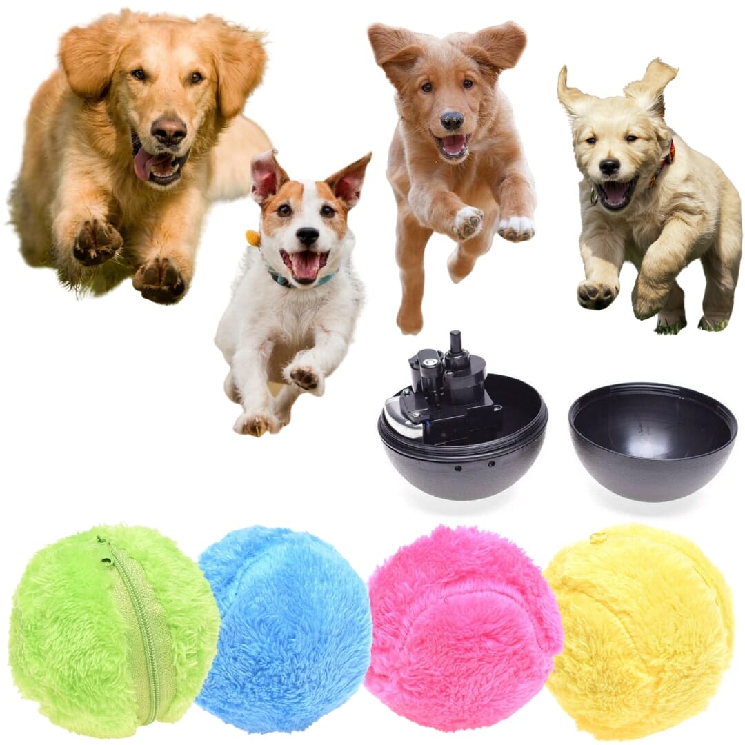 Pet Self Rolling Ball (4 Colors) Marcira 