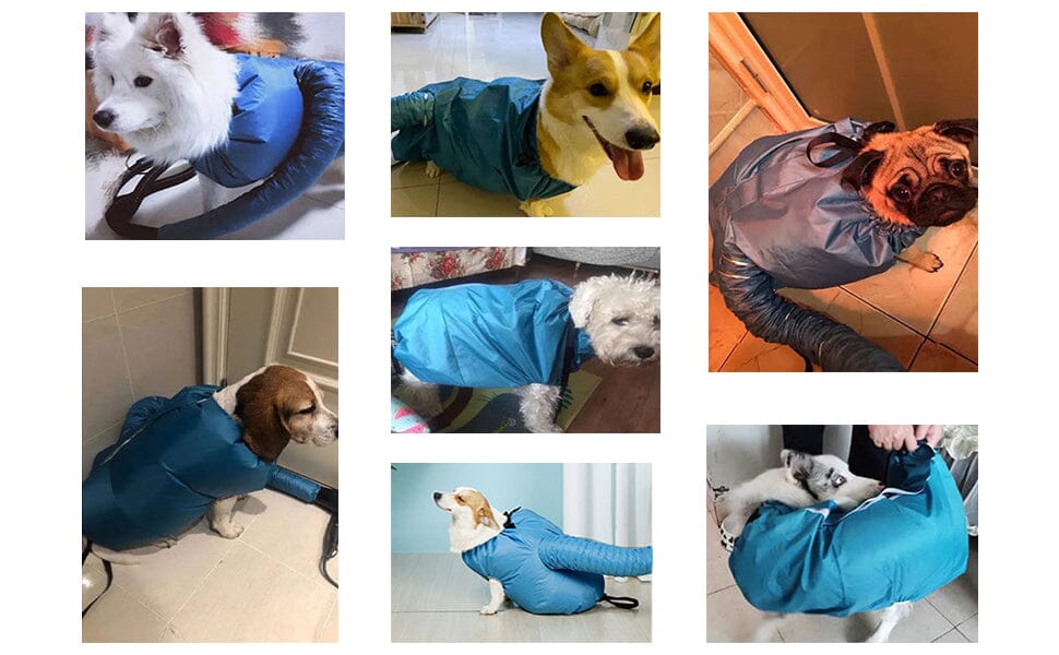 FurBlow Pet Suit Marcira 